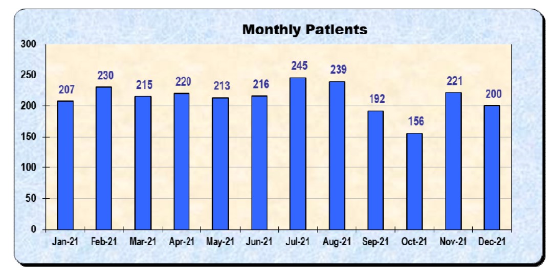 Monthly Patients (2021)