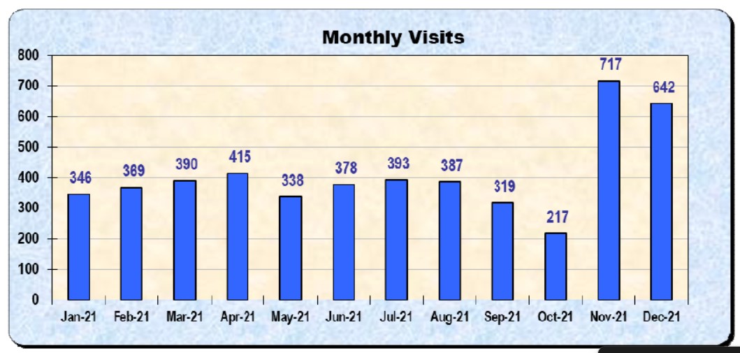 Monthly Visits (2021)